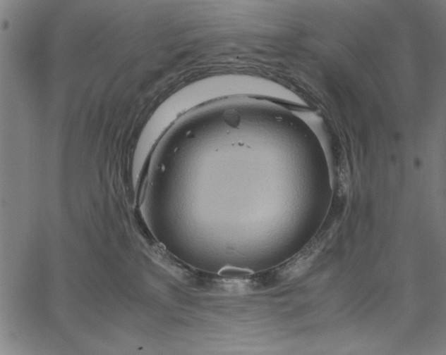 X0000065250233200603031811