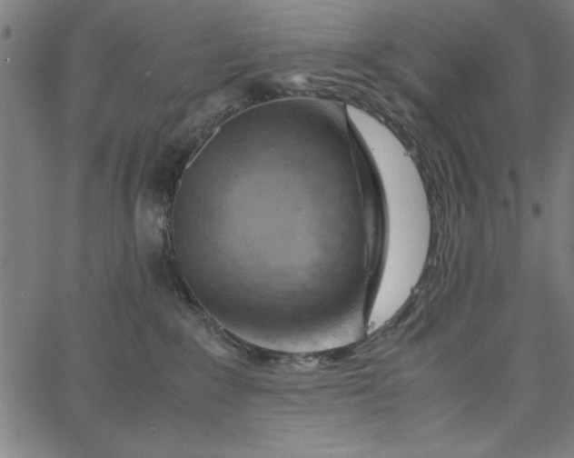 X0000065250235200603031811