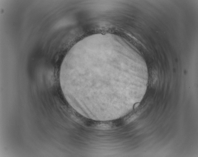 X0000065250236200603031811