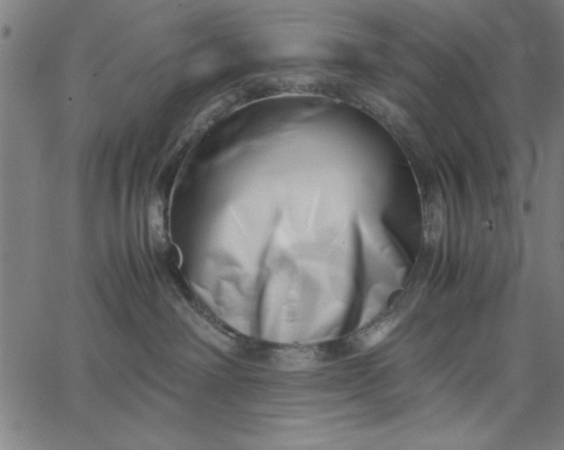 X0000065250238200603031811