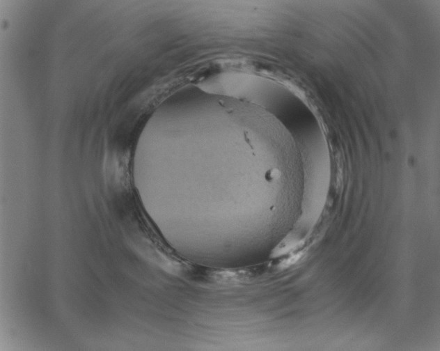 X0000065250239200603031811