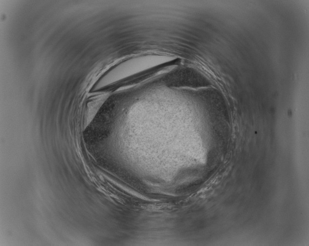 X0000065250241200603031810