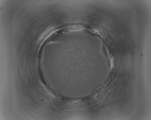 X0000065250243200603031810