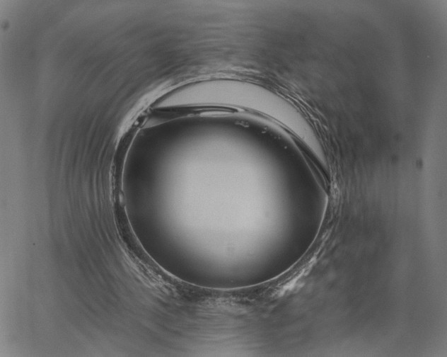 X0000065250244200603031810