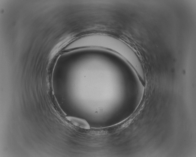 X0000065250245200603031810