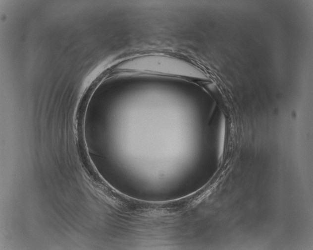 X0000065250246200603031810