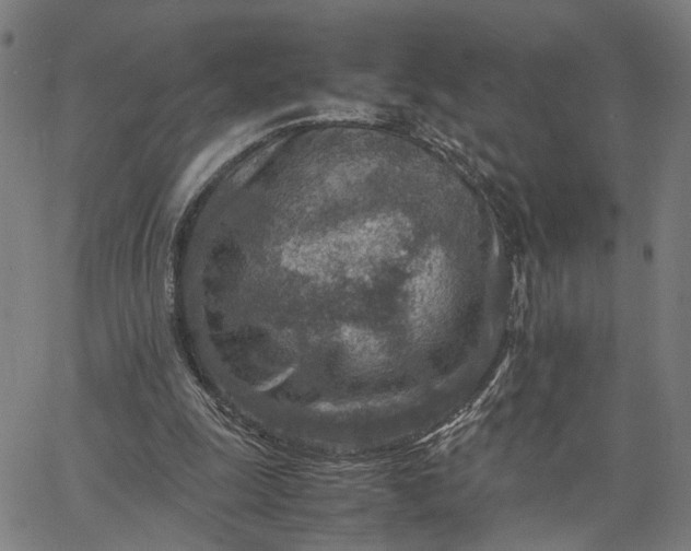 X0000065250247200603031810