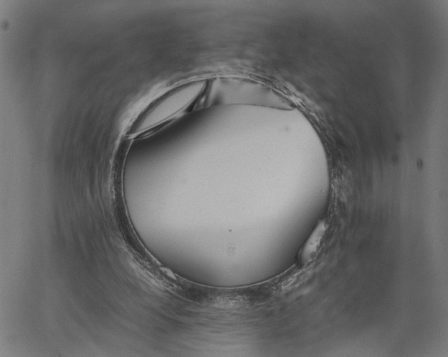 X0000065250248200603031810