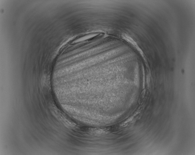 X0000065250249200603031810