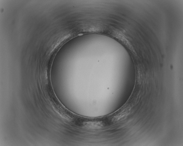 X0000065250251200603031810