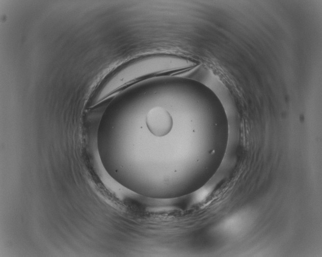 X0000065250252200603031811