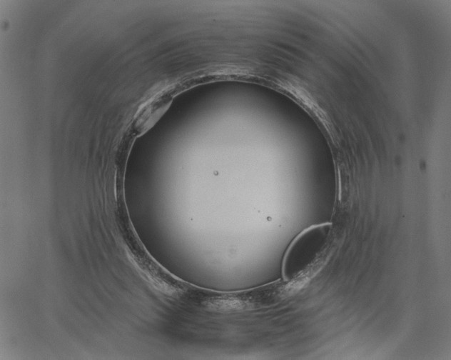 X0000065250253200603031811