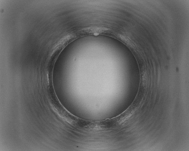 X0000065250254200603031811