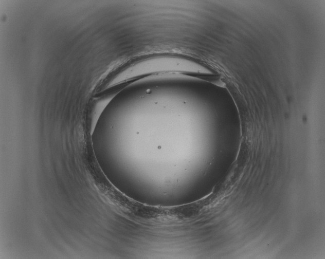 X0000065250256200603031811