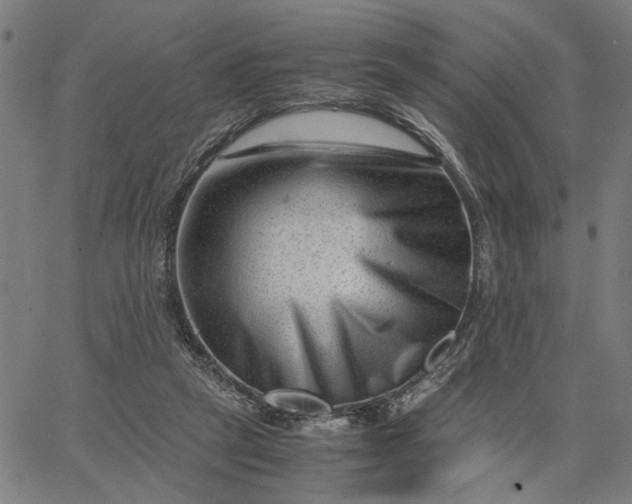 X0000065250257200603031811