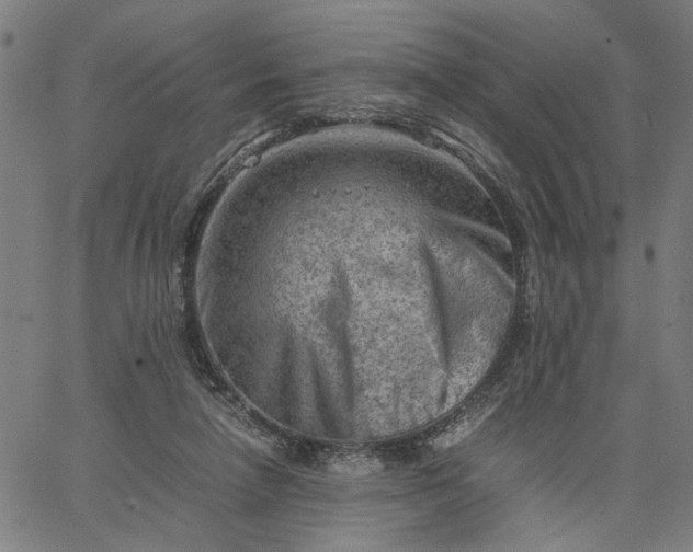 X0000065250258200603031811