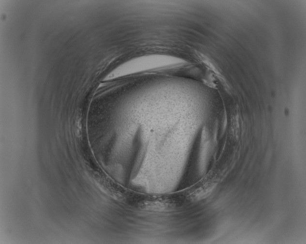 X0000065250259200603031811