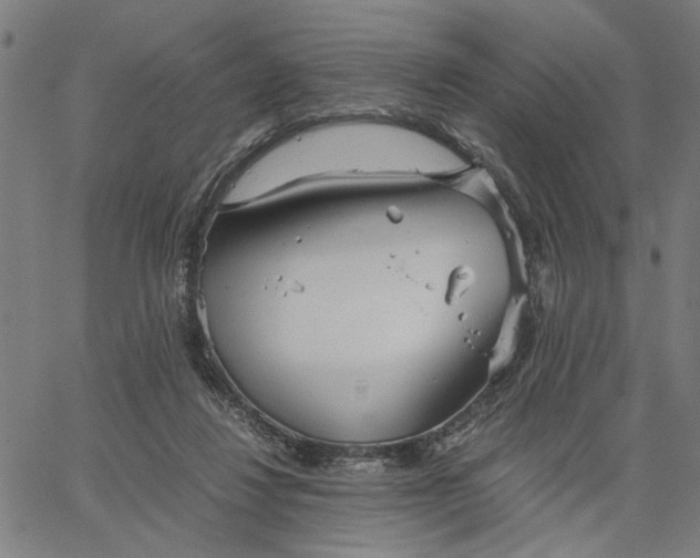 X0000065250260200603031811