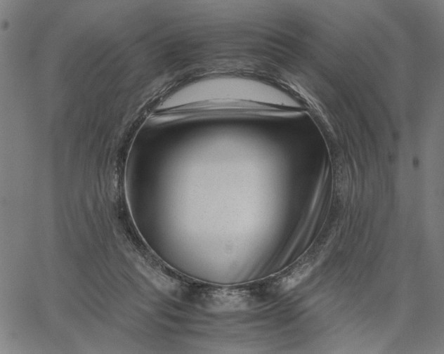 X0000065250261200603031811