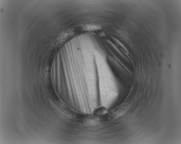 X0000065250263200603031811