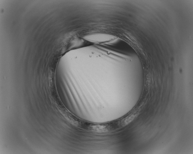 X0000065250265200603031811