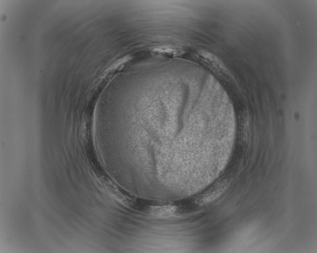 X0000065250266200603031811