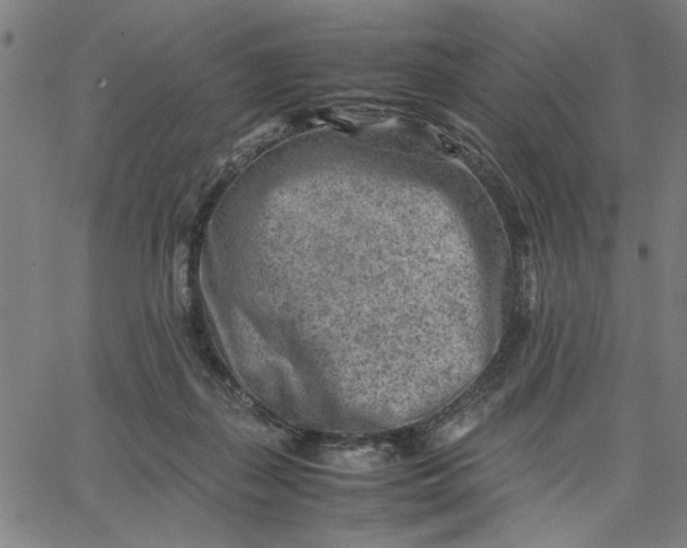 X0000065250267200603031811