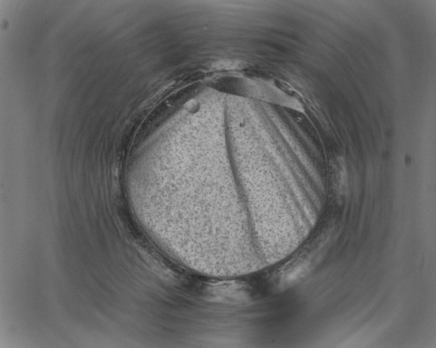 X0000065250269200603031811