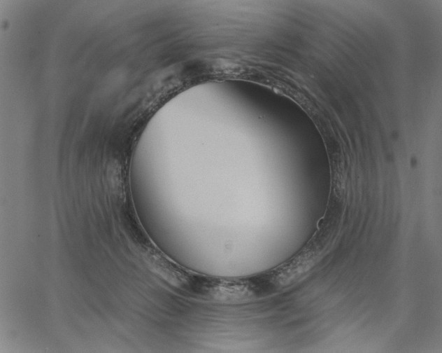 X0000065250270200603031811