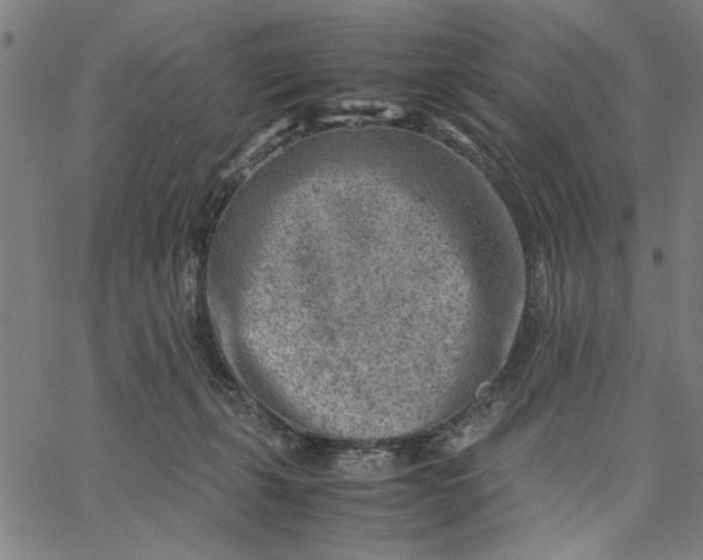 X0000065250271200603031811