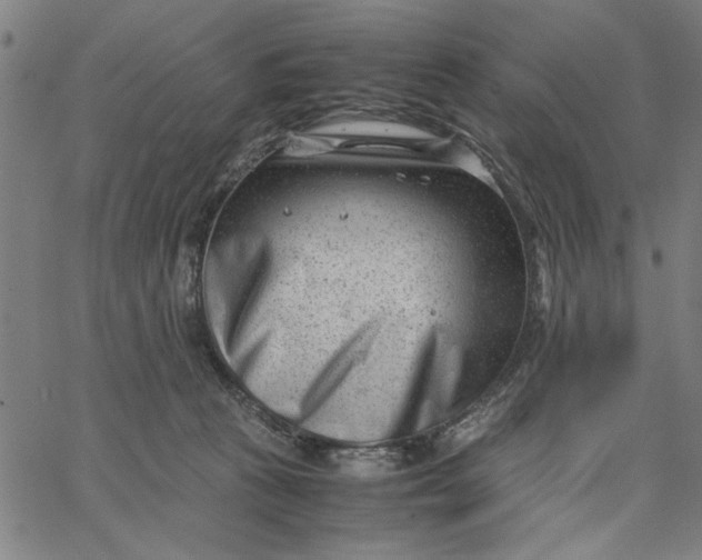 X0000065250273200603031811