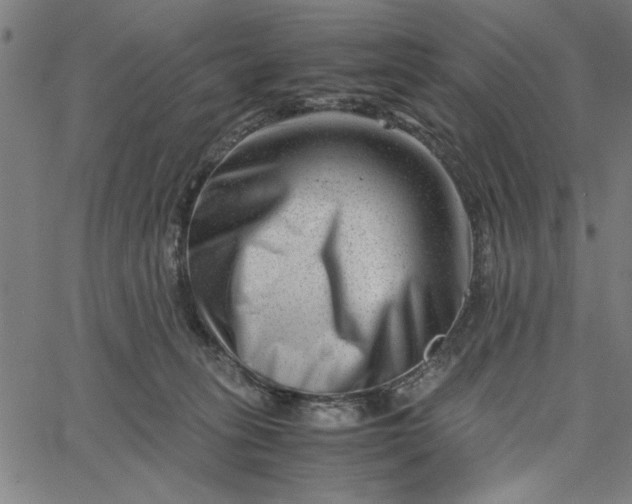 X0000065250275200603031811