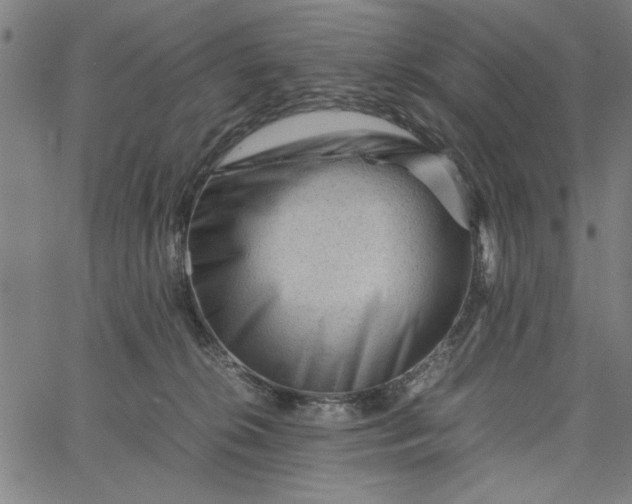 X0000065250276200603031811