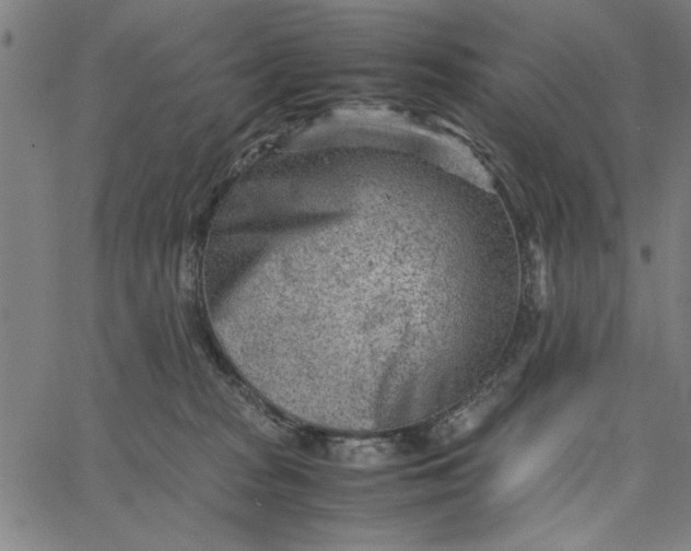 X0000065250277200603031811