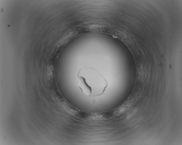 X0000065250278200603031811