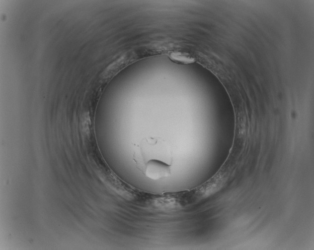 X0000065250279200603031811