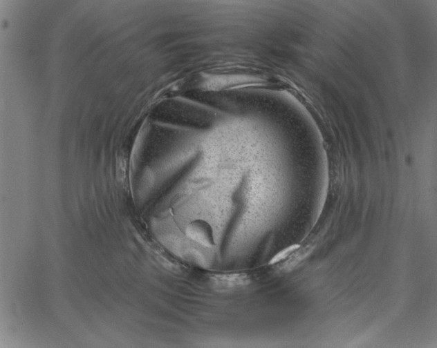 X0000065250281200603031811