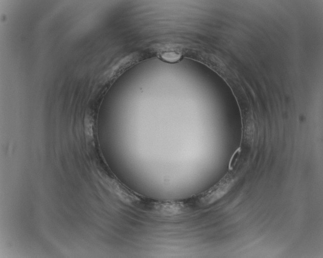 X0000065250282200603031811