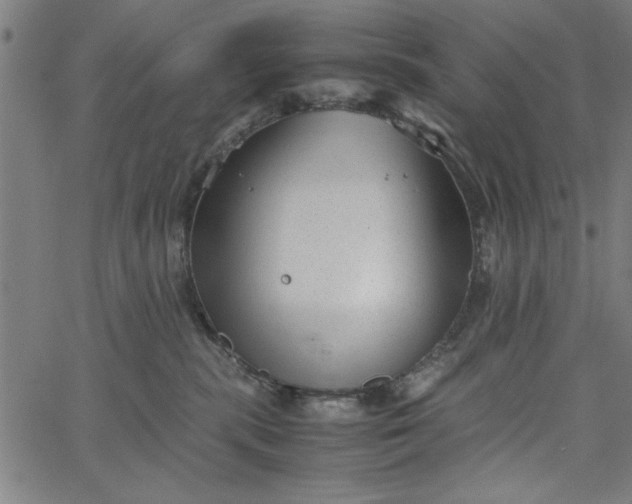 X0000065250283200603031811