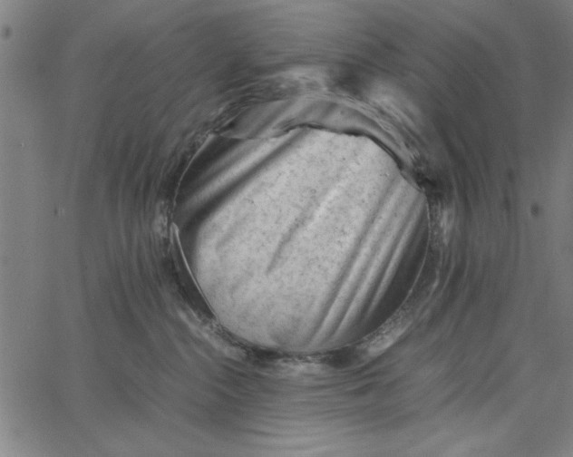 X0000065250284200603031811