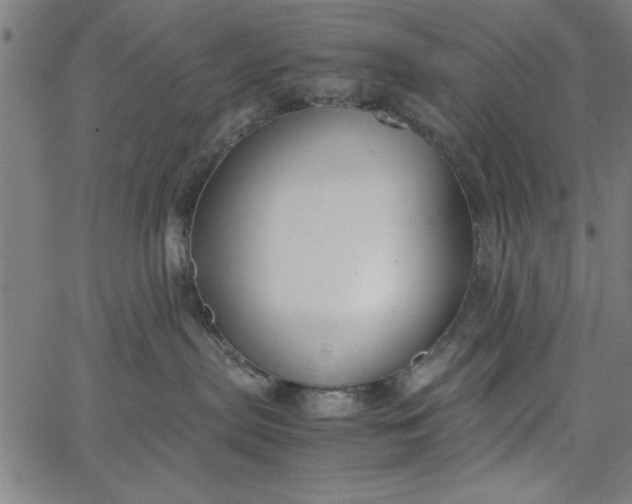 X0000065250287200603031811