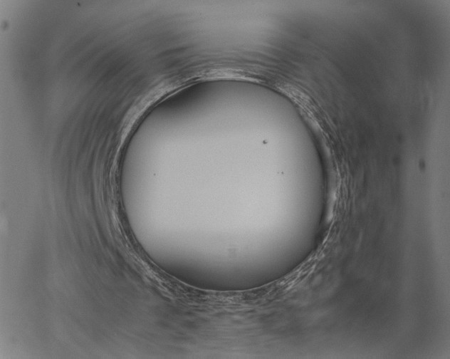 X0000065250289200603031810