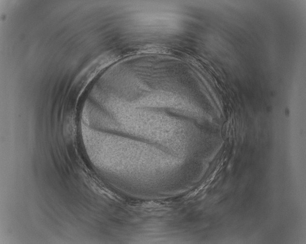 X0000065250290200603031810