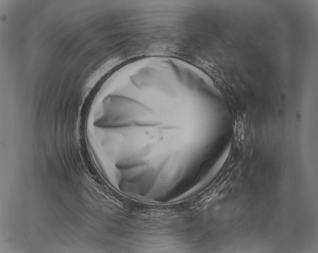 X0000065250292200603031810