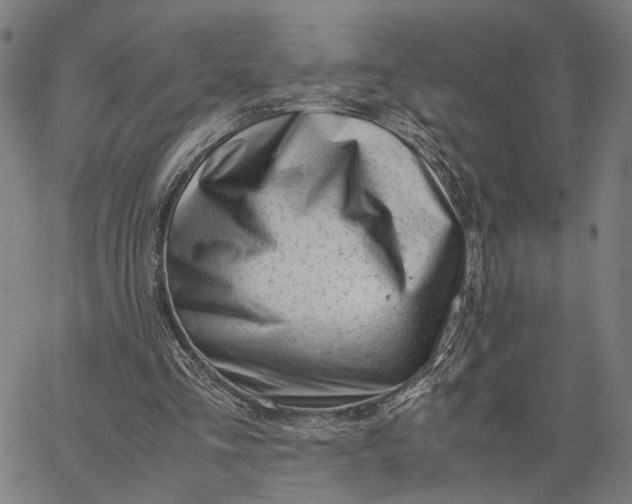 X0000065250293200603031810