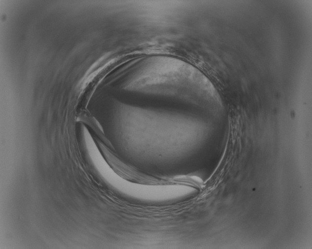 X0000065250295200603031810