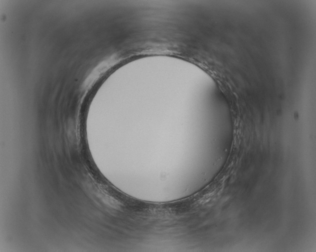 X0000065250296200603031810