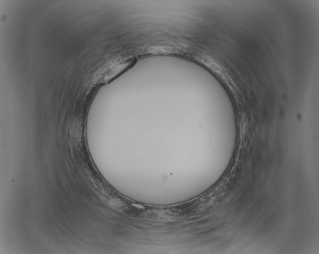 X0000065250297200603031810