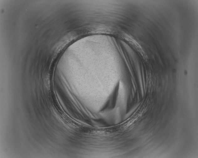 X0000065250298200603031810