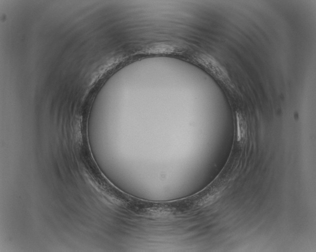 X0000065250300200603031810